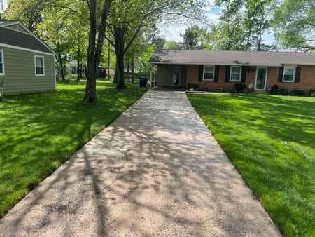 Driveway cleaning after